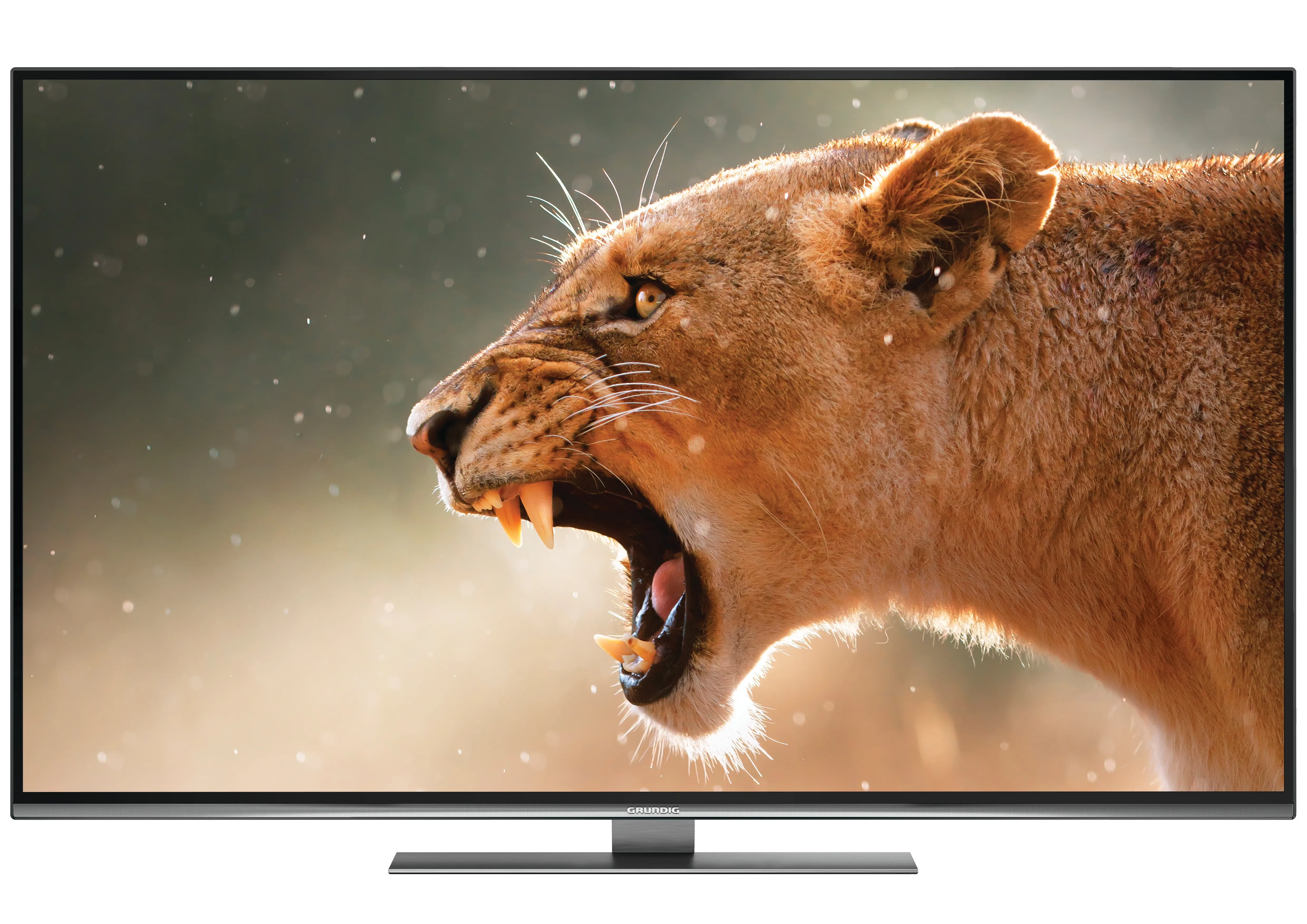 Grundig 49VLX8681BP https://www.monitor-information.de/wp-content/uploads/image_cache/01FB083E99F311EE8E1900163E51D9F2/839d9dba8382bdba76ae6e3cd66a26ee.webp Grundig 49VLX8681BP https://www.monitor-information.de/wp-content/uploads/image_cache/01FB083E99F311EE8E1900163E51D9F2/839d9dba8382bdba76ae6e3cd66a26ee.webp