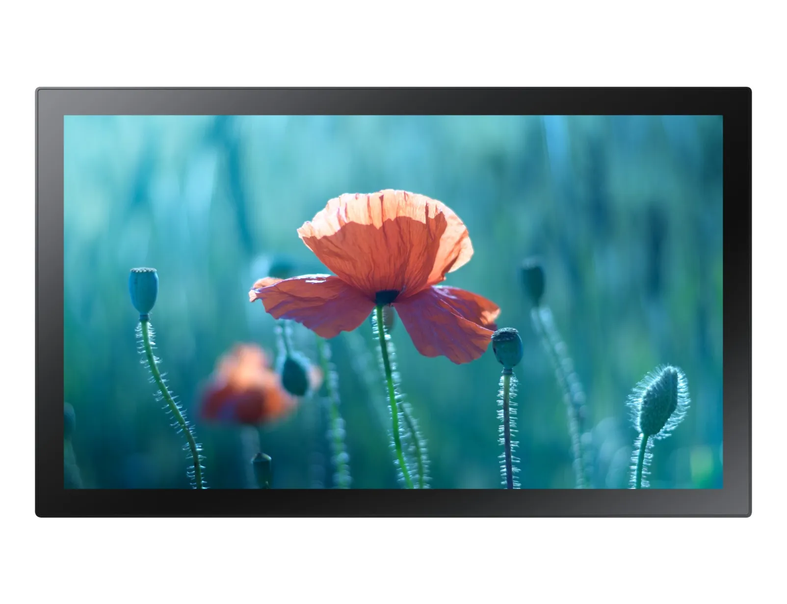 Samsung QB13R-T https://www.monitor-information.de/wp-content/uploads/image_cache/071A821B99F211EE8E1900163E51D9F2/35de0744175aa416adc7a8eda007897c.webp Samsung QB13R-T https://www.monitor-information.de/wp-content/uploads/image_cache/071A821B99F211EE8E1900163E51D9F2/35de0744175aa416adc7a8eda007897c.webp