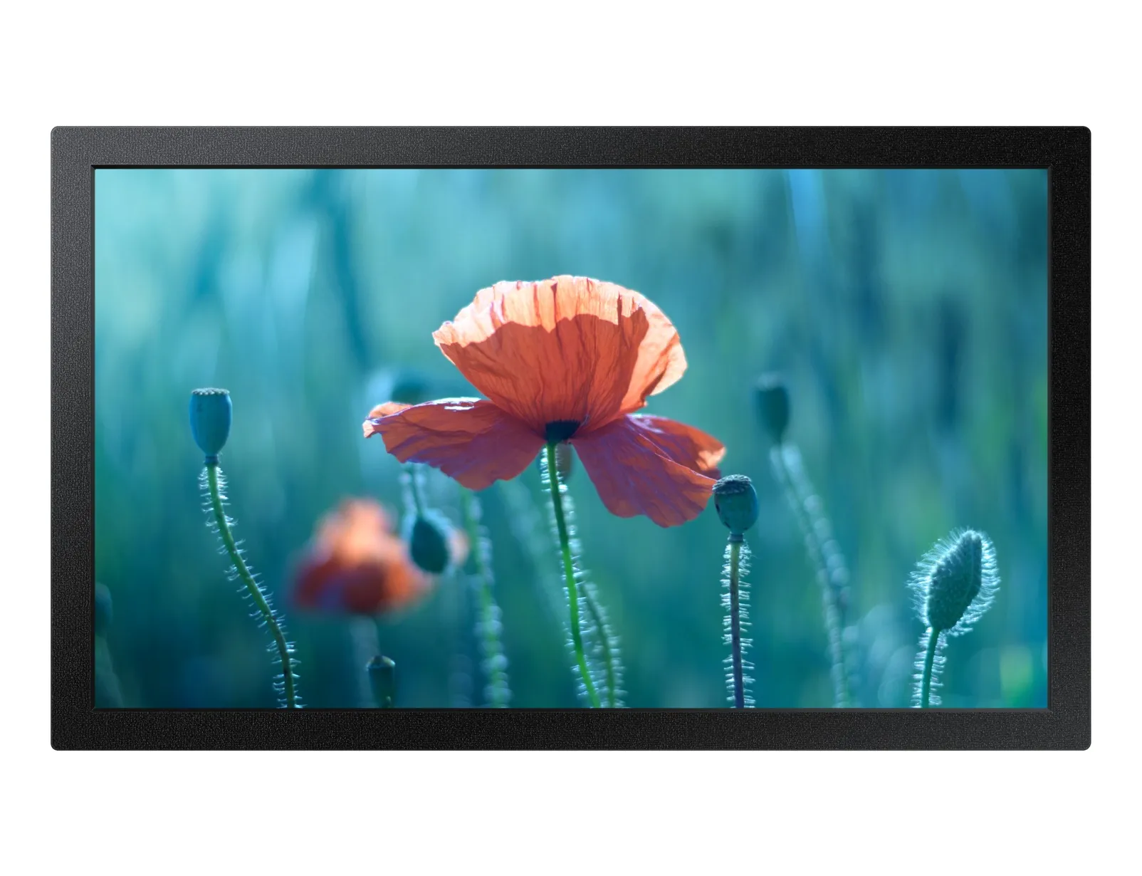 Samsung QB13R https://www.monitor-information.de/wp-content/uploads/image_cache/0728449C99F211EE8E1900163E51D9F2/ee44871f75ccbc37236770476931bb67.webp Samsung QB13R https://www.monitor-information.de/wp-content/uploads/image_cache/0728449C99F211EE8E1900163E51D9F2/ee44871f75ccbc37236770476931bb67.webp