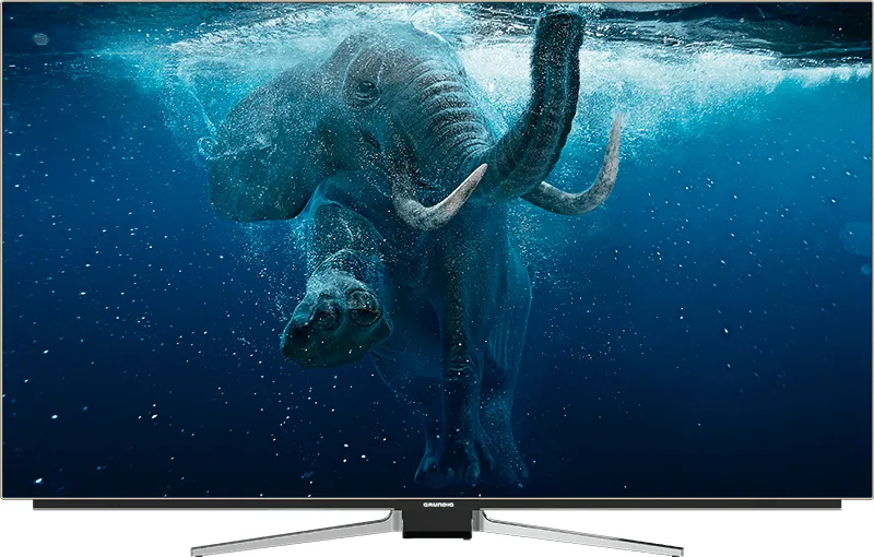 Grundig 65 GOB 9990 FINE ARTS https://www.monitor-information.de/wp-content/uploads/image_cache/09D9834F99F311EE8E1900163E51D9F2/5ff90d722b42c1687851f39c60e192e1.webp