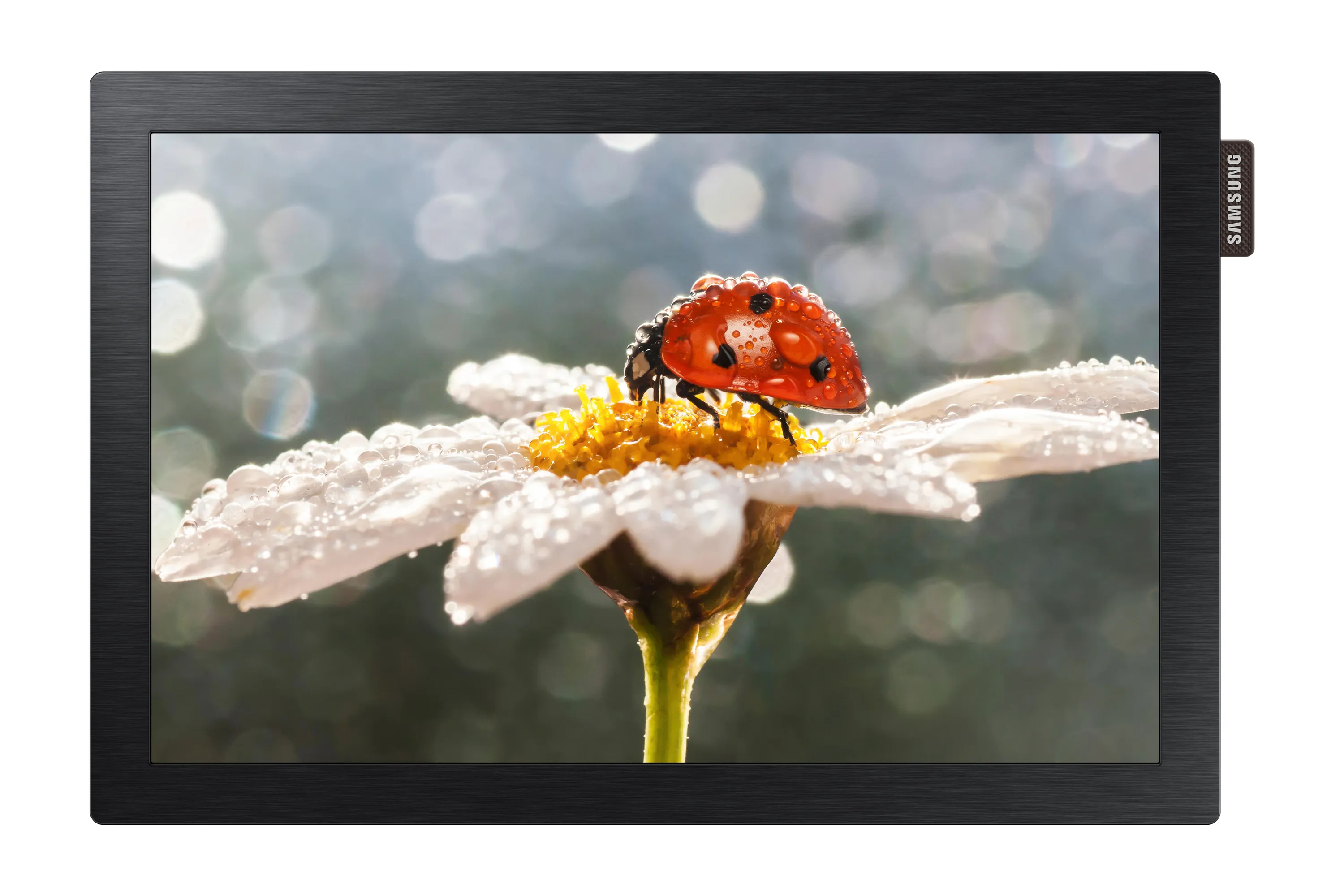 Samsung DB10E-POE https://www.monitor-information.de/wp-content/uploads/image_cache/8F72DD5499F011EE8E1900163E51D9F2/935e7db3ebe6607e676a3bfdc4b7b1a0.webp Samsung DB10E-POE https://www.monitor-information.de/wp-content/uploads/image_cache/8F72DD5499F011EE8E1900163E51D9F2/935e7db3ebe6607e676a3bfdc4b7b1a0.webp