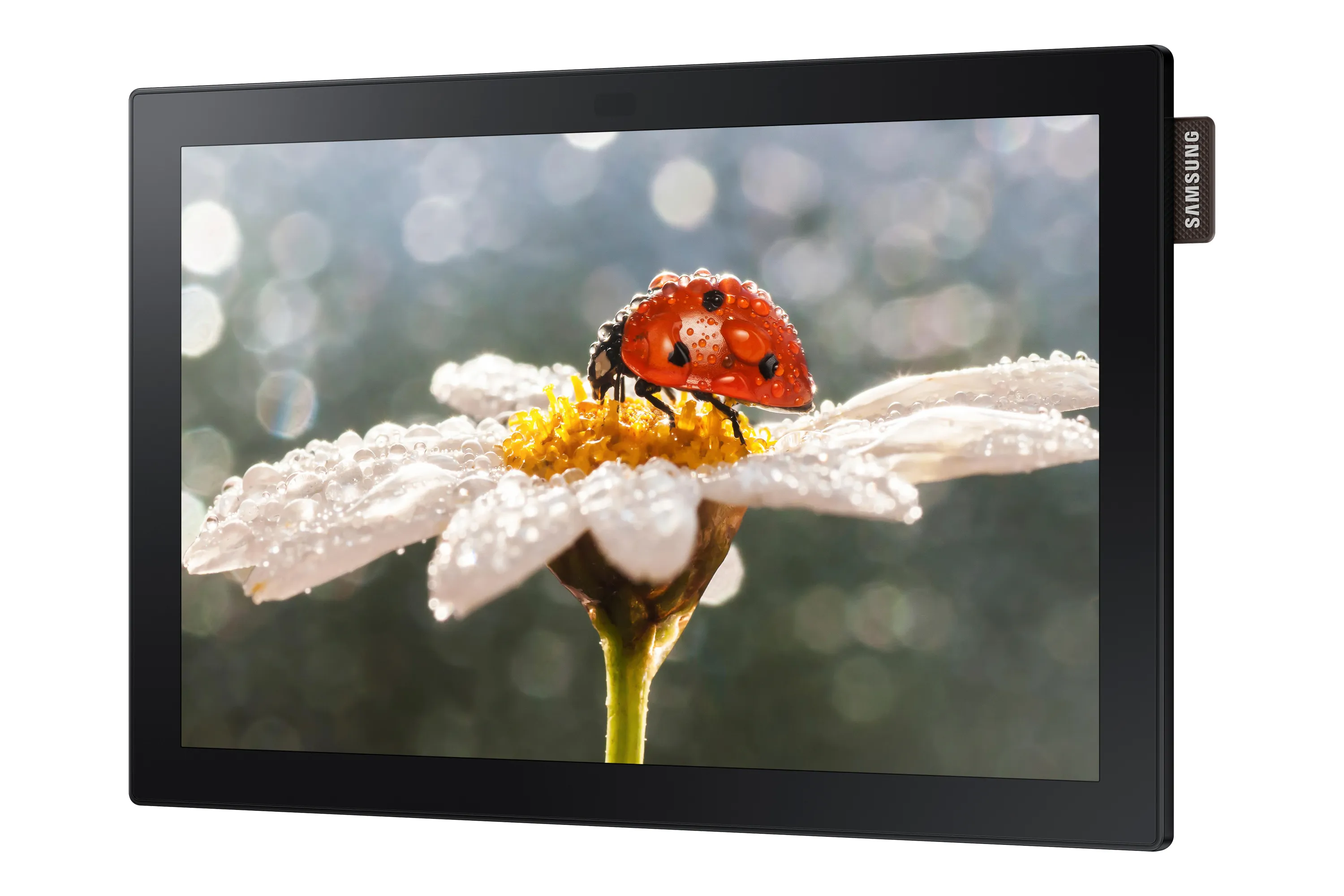 Samsung DB10E-T https://www.monitor-information.de/wp-content/uploads/image_cache/9D7C90CD99F011EE8E1900163E51D9F2/f6738eb3b0752aa390ea5a0ed16e5bd0.webp