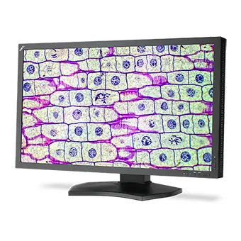 NEC MD322C8 https://www.monitor-information.de/wp-content/uploads/image_cache/B9573B0E99F011EE8E1900163E51D9F2/c6bf8f144dc69f59d63809a86ab7c398.webp NEC MD322C8 https://www.monitor-information.de/wp-content/uploads/image_cache/B9573B0E99F011EE8E1900163E51D9F2/c6bf8f144dc69f59d63809a86ab7c398.webp