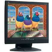 Viewsonic 18IN 27MM 1280X1024 82KHZ https://www.monitor-information.de/wp-content/uploads/image_cache/DC01EBEF99F211EE8E1900163E51D9F2/ee87c66cf8390e9f4dcb6bd25725f9de.webp Viewsonic 18IN 27MM 1280X1024 82KHZ https://www.monitor-information.de/wp-content/uploads/image_cache/DC01EBEF99F211EE8E1900163E51D9F2/ee87c66cf8390e9f4dcb6bd25725f9de.webp