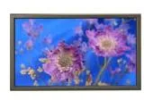 NEC PLASMASYNC 61XM2 61INCH silver https://www.monitor-information.de/wp-content/uploads/image_cache/EEB0DA8699EF11EE8E1900163E51D9F2/efea5d52b27a76f0367200a578ffd3c4.webp
