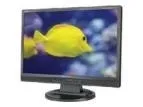 NEC AccuSync LCD22WMGX https://www.monitor-information.de/wp-content/uploads/image_cache/F02E301999EF11EE8E1900163E51D9F2/821554819265306ca56f22fe6609dbc6.webp
