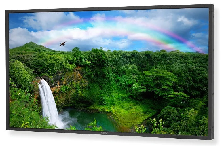 NEC P461 https://www.monitor-information.de/wp-content/uploads/image_cache/F678263799EF11EE8E1900163E51D9F2/c3adf71f1d5d2efbf3fafa81b1b79011.webp NEC P461 https://www.monitor-information.de/wp-content/uploads/image_cache/F678263799EF11EE8E1900163E51D9F2/c3adf71f1d5d2efbf3fafa81b1b79011.webp